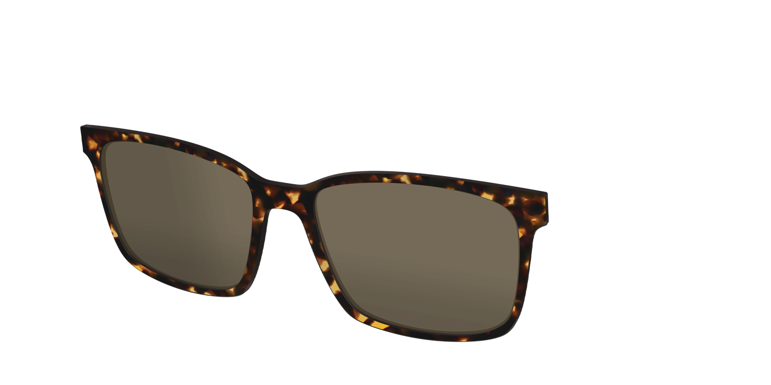 The Non-Polarized Tortoise Sun Top - Angle Top Image - Pair Eyewear