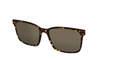 The Non-Polarized Tortoise Sun Top - Angle Top Thumbnail - Pair Eyewear