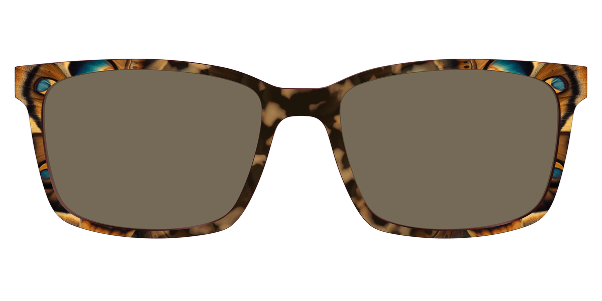 The Polarized Moth Wings Sun Top - Lifestyle Kirby Top Image - Pair Eyewear