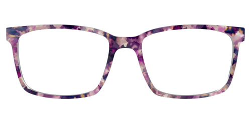 The Primrose Tortoise - Kirby Top - Pair Eyewear