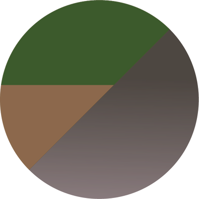 The Auburn Gradient Horn