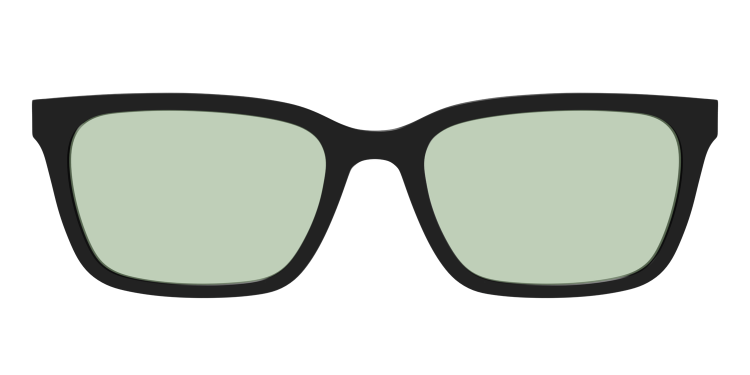The Black With Sage Green Lens - Front Top Image - Pair Eyewear