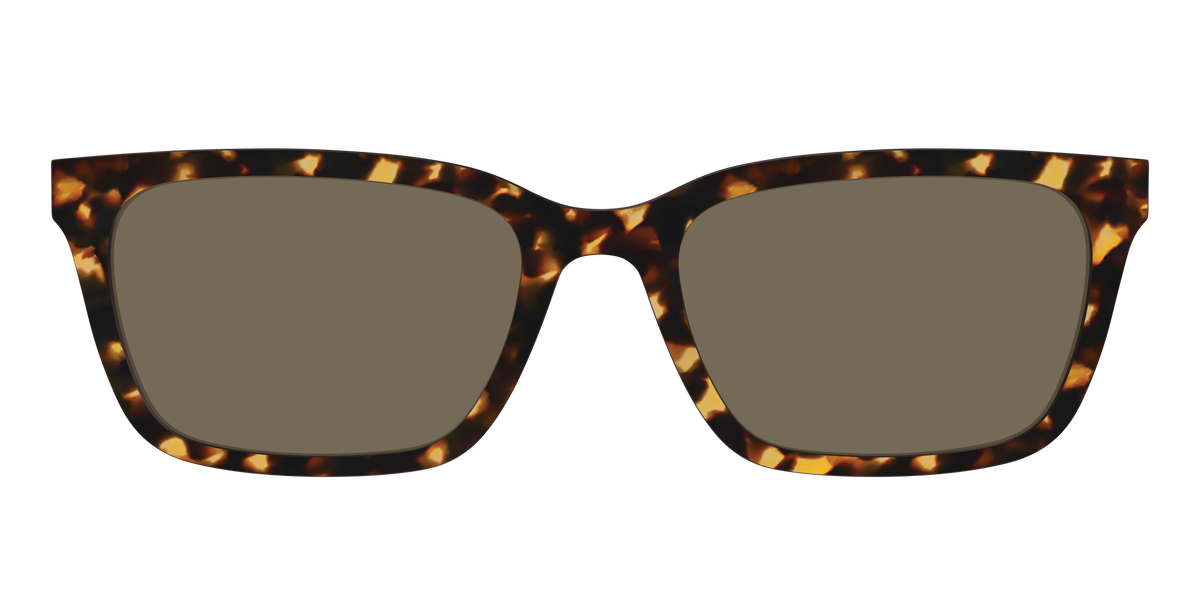 The Non-Polarized Tortoise Sun Top - Front Top Image - Pair Eyewear