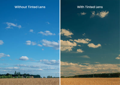 The Black With Umber Brown Lens
