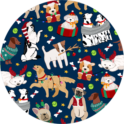 The Snowglobe