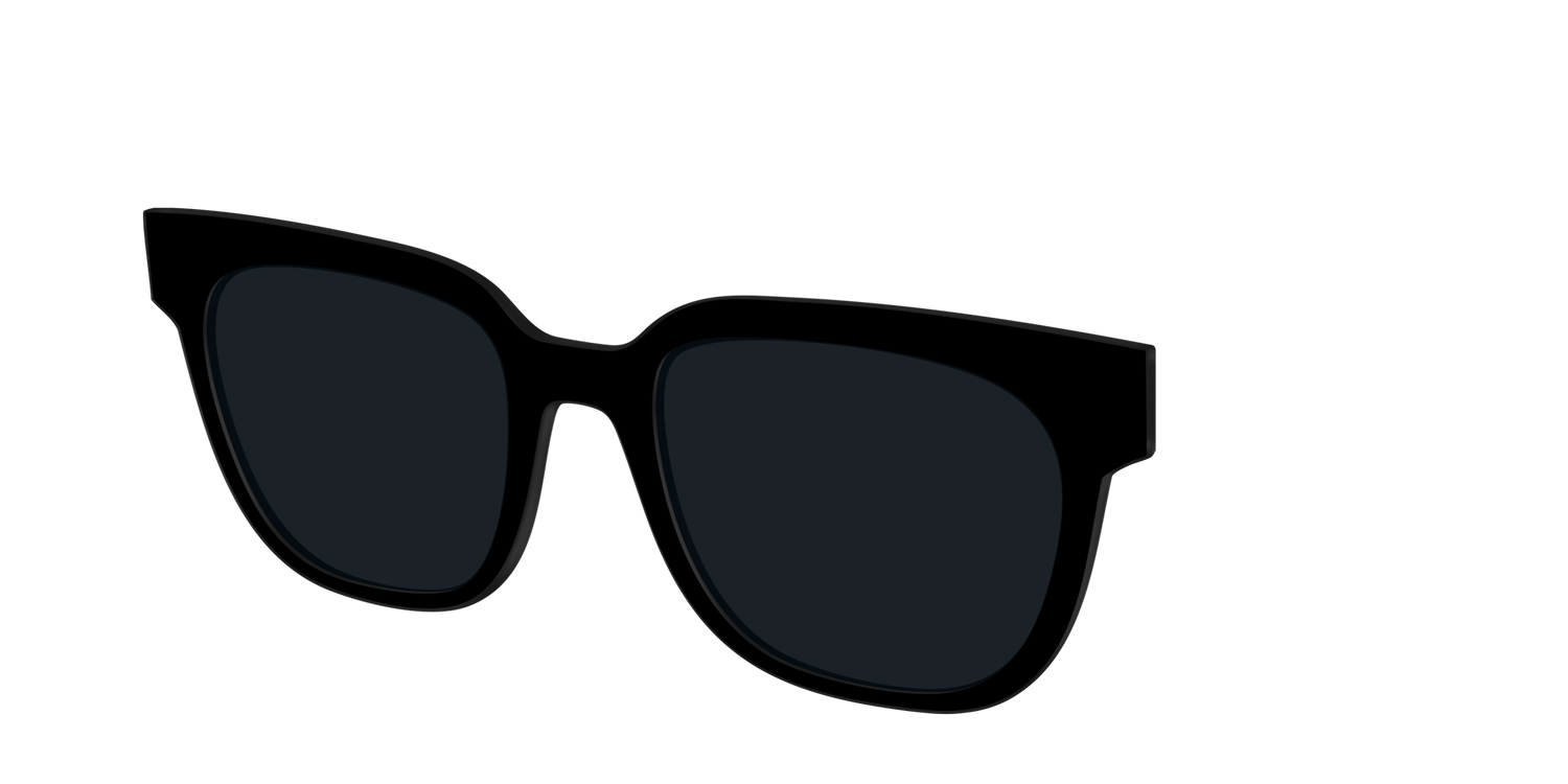 The Non-Polarized Black Sun Top - Angle Top Image - Pair Eyewear