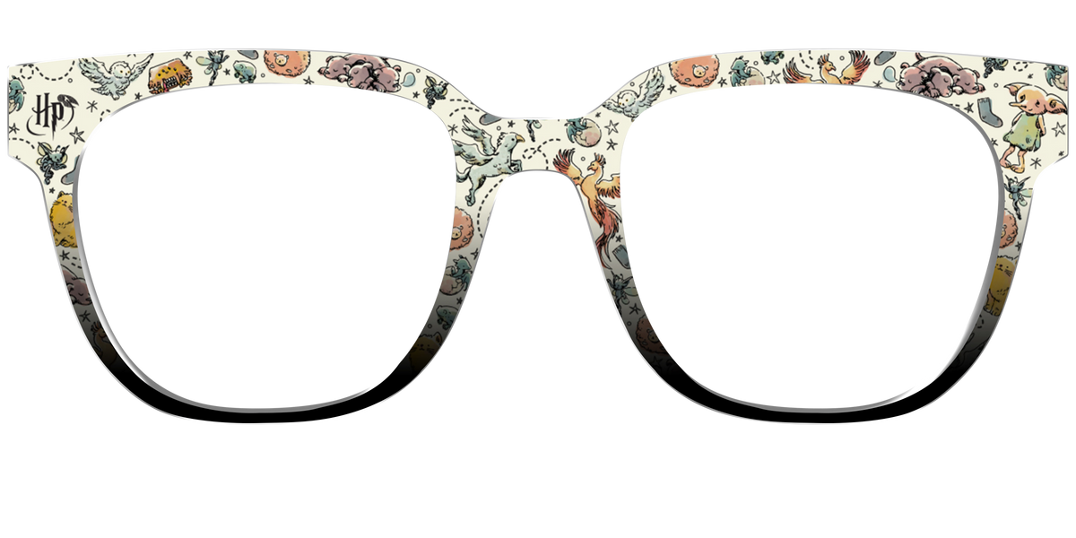 The Dobby & Friends - Front Top Image - Pair Eyewear
