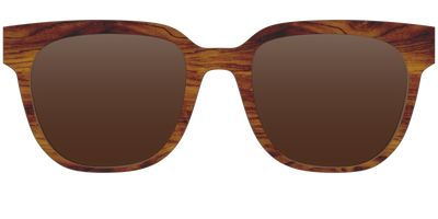 The Polarized Woodgrain Sun Top - Front Top Thumbnail - Pair Eyewear