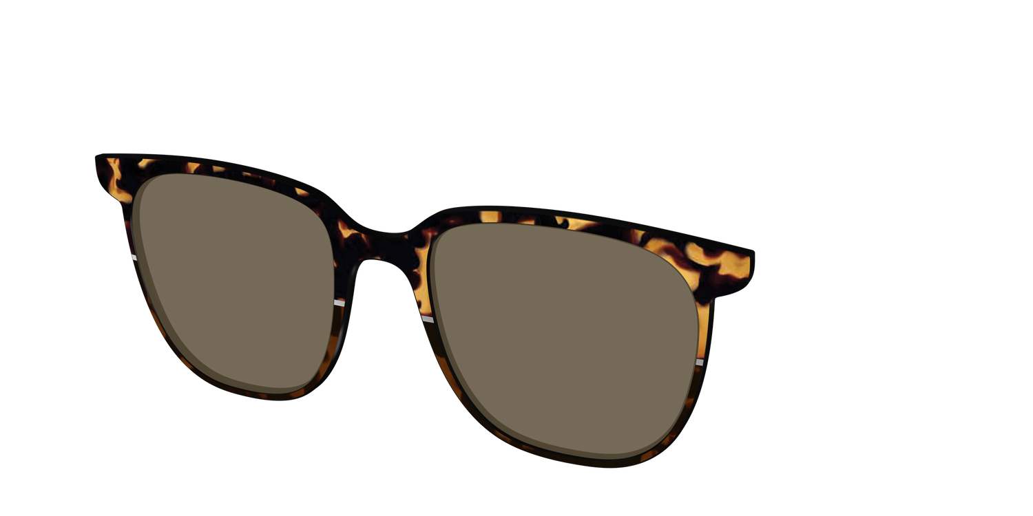 The Polarized Chic Tortoise Split Sun Top - Angle Top Image - Pair Eyewear