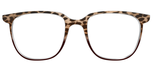 The Jungle Cat Tortoise - Pair Eyewear