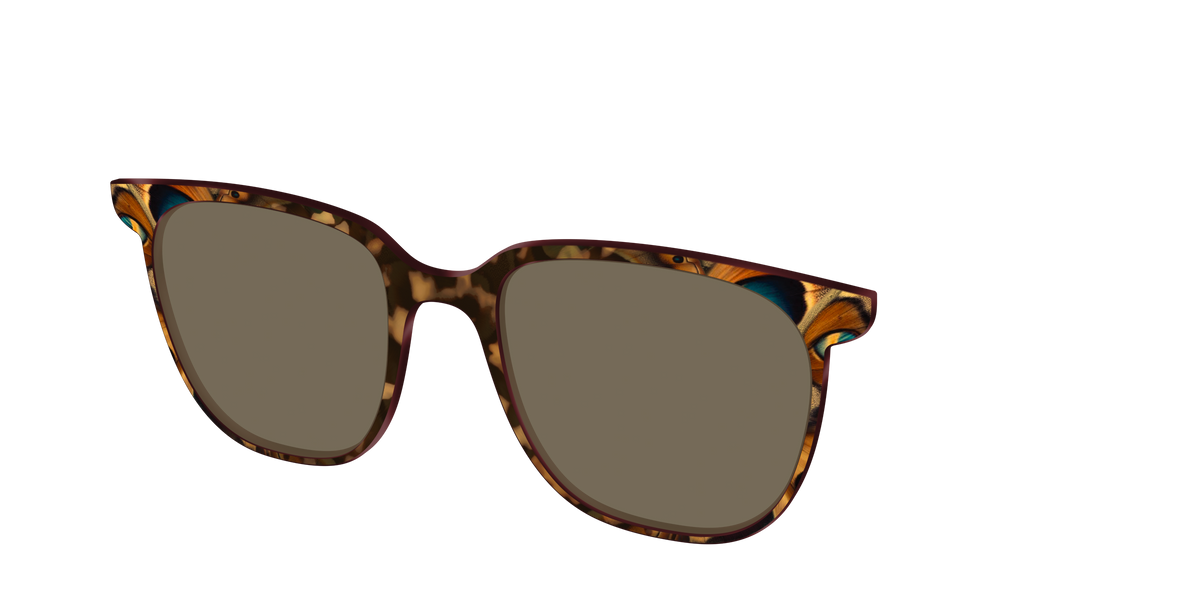 The Polarized Moth Wings Sun Top - Angle Top Image - Pair Eyewear