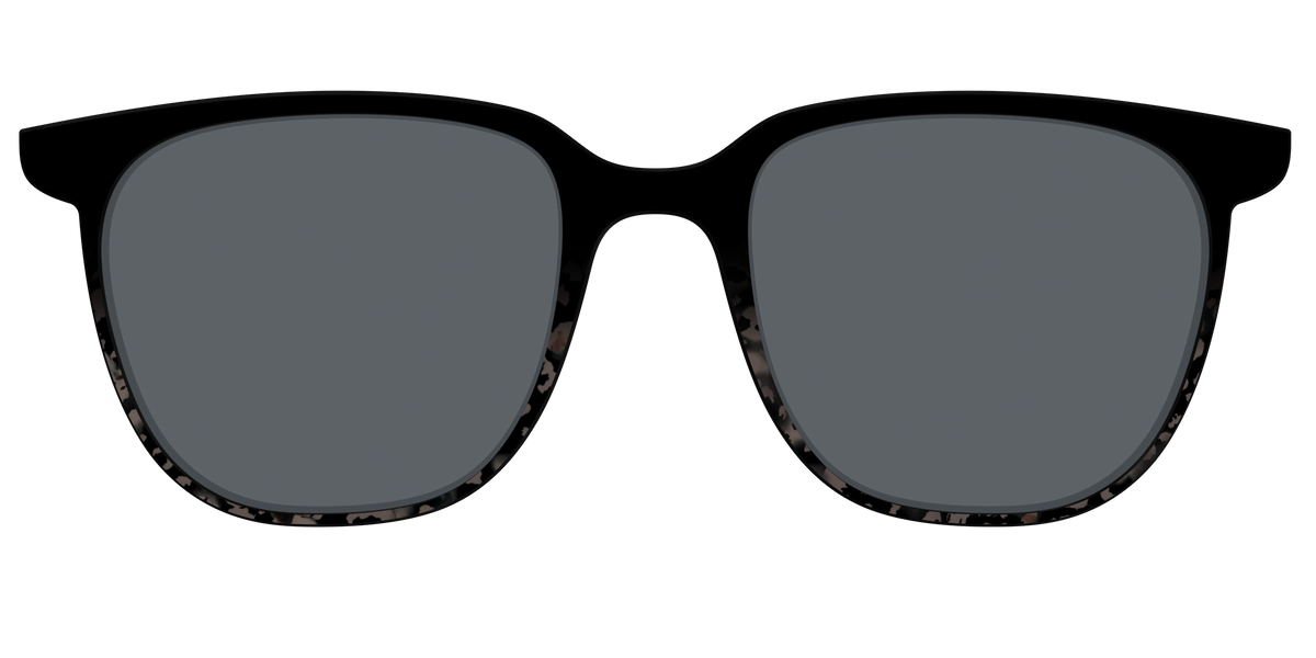 The Polarized Shaded Tortoise Sun Top - Front Top Image - Pair Eyewear