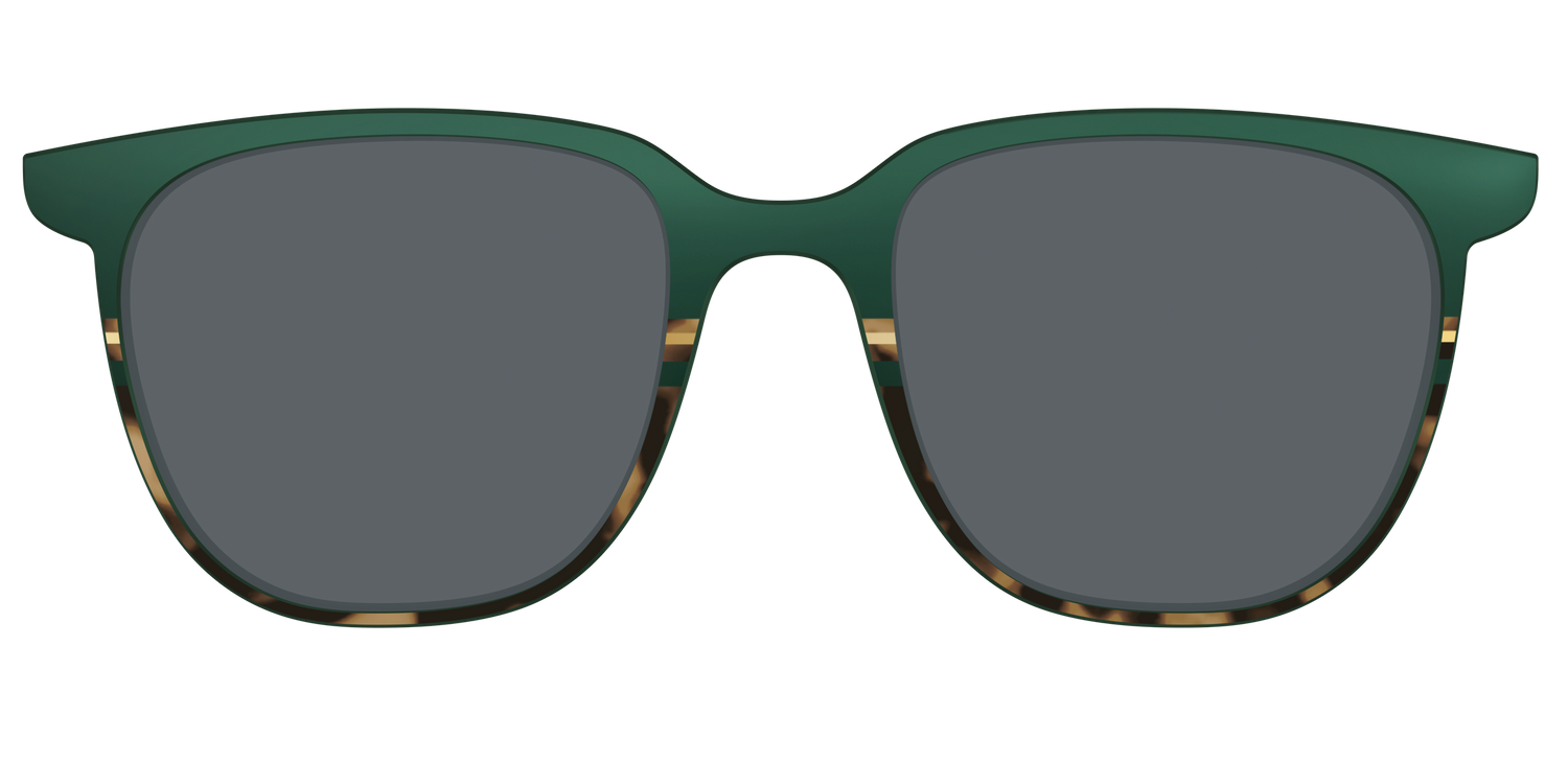 The Polarized Spruce Tortoise Sun Top - Front Top Image - Pair Eyewear