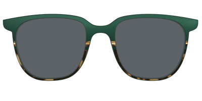 The Polarized Spruce Tortoise Sun Top - Front Top Thumbnail - Pair Eyewear