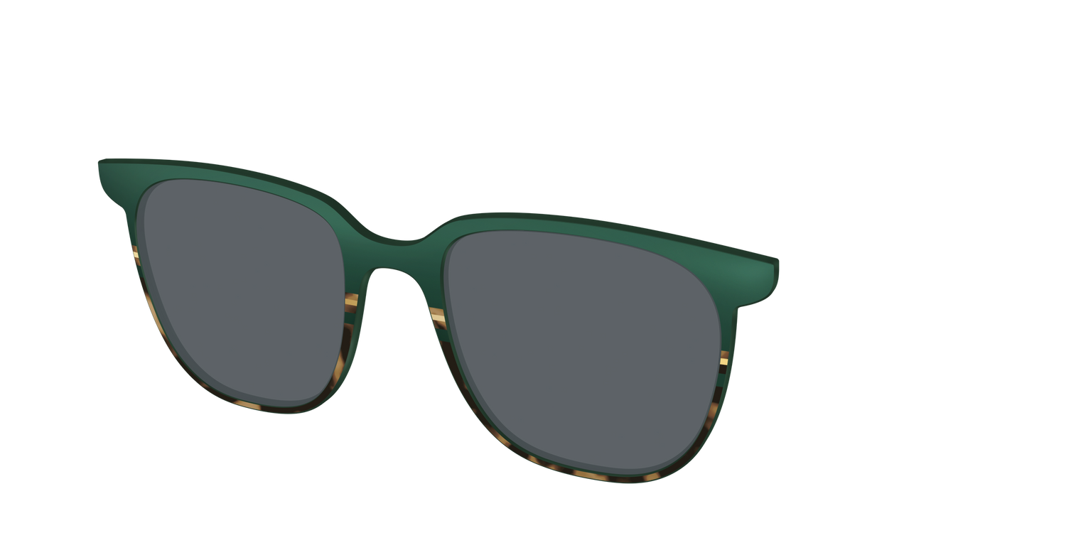 The Polarized Spruce Tortoise Sun Top - Angle Top Image - Pair Eyewear