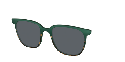 The Polarized Spruce Tortoise Sun Top - Angle Top Thumbnail - Pair Eyewear