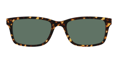 The Non-Polarized Green Tortoise Sun Top - Front Top Thumbnail - Pair Eyewear