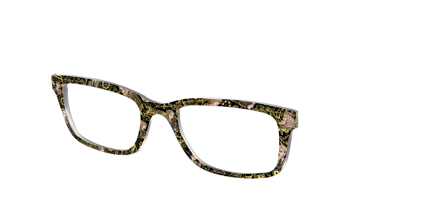 The Harry Potter Toile - Angle Top Image - Pair Eyewear