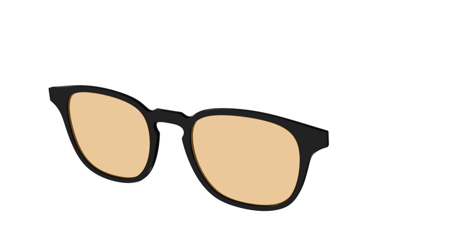 The Black With Umber Brown Lens - Angle Top Image - Pair Eyewear