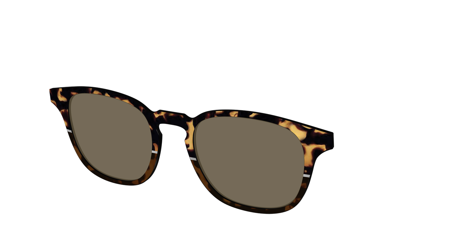 The Polarized Chic Tortoise Split Sun Top - Angle Top Image - Pair Eyewear