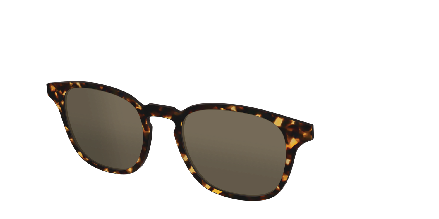 The Non-Polarized Tortoise Sun Top - Angle Top Image - Pair Eyewear