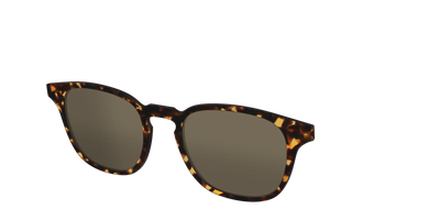 The Non-Polarized Tortoise Sun Top - Angle Top Thumbnail - Pair Eyewear