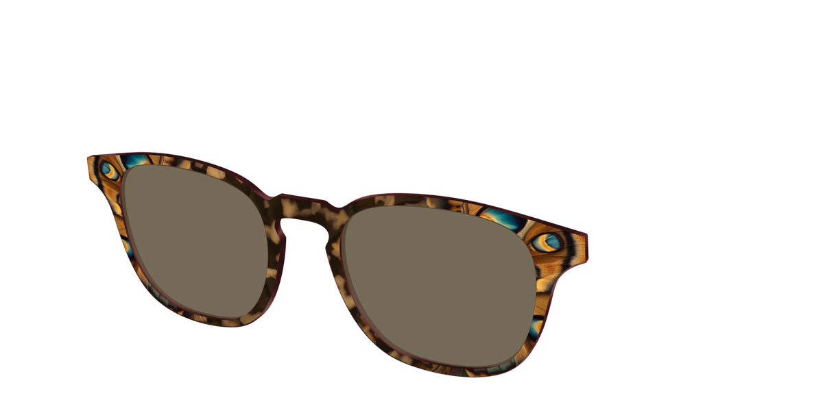 The Polarized Moth Wings Sun Top - Angle Top Image - Pair Eyewear
