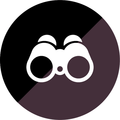 The Black with Gray Gaming Lens