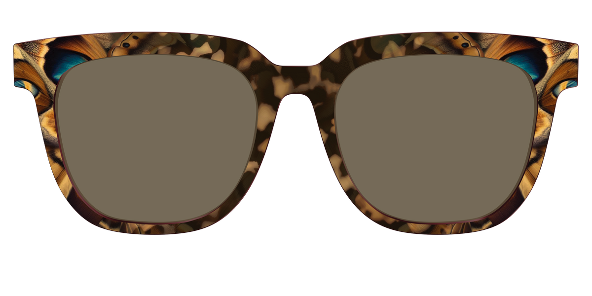 The Polarized Moth Wings Sun Top - Front Top Image - Pair Eyewear