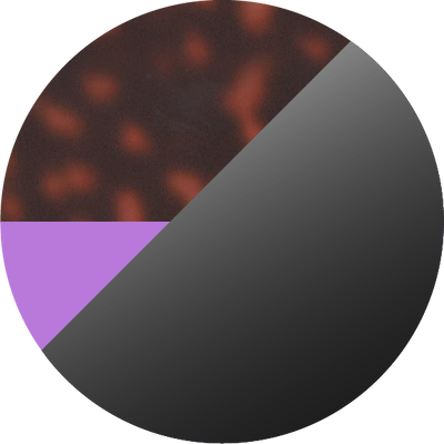 The Indigo