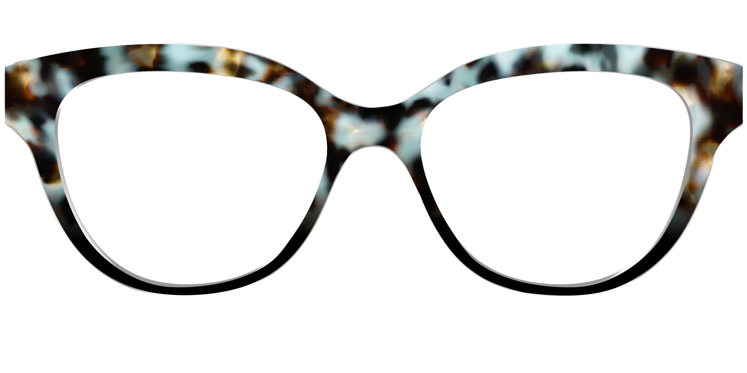 The Academic Tortoise - Front Top Image - Pair Eyewear