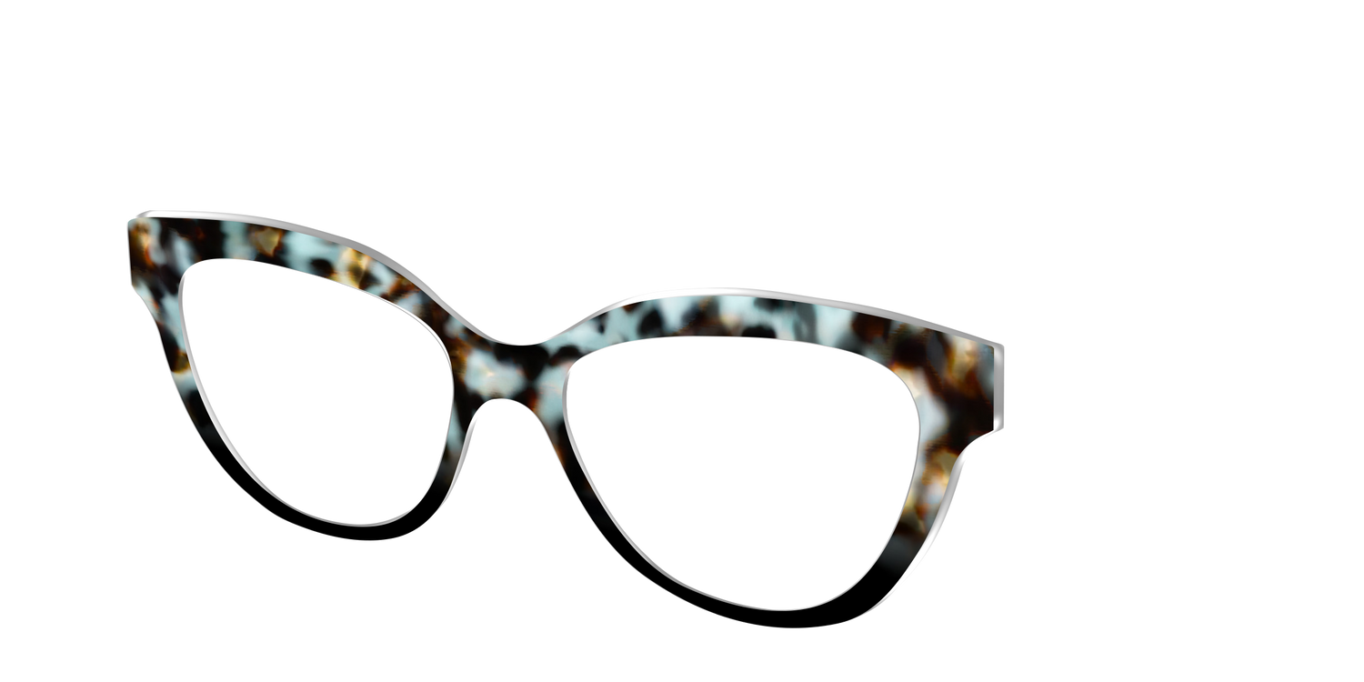 The Academic Tortoise - Angle Top Image - Pair Eyewear