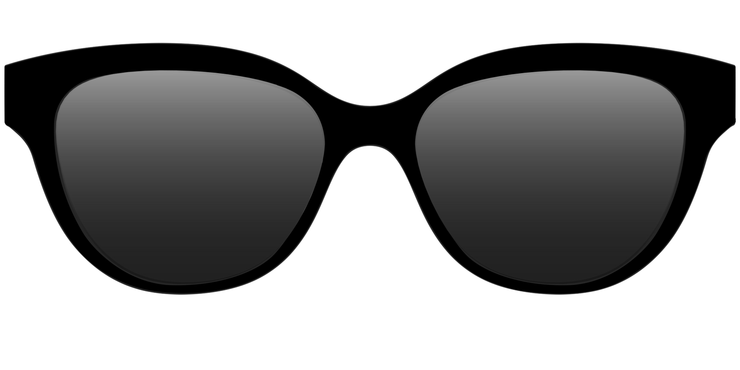 The Polarized Black Sun Top - Front Top Image - Pair Eyewear