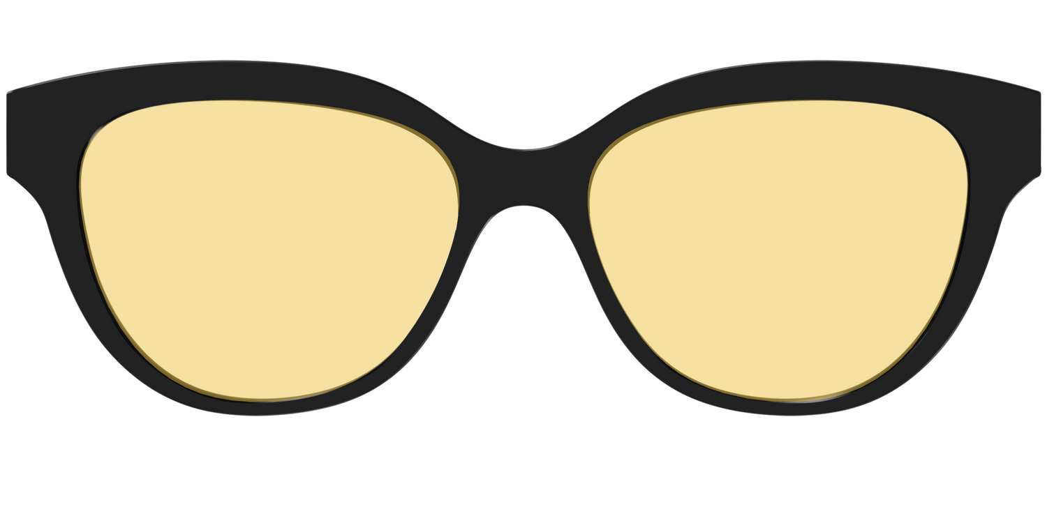 The Black With Citrine Yellow Lens - Front Top Image - Pair Eyewear