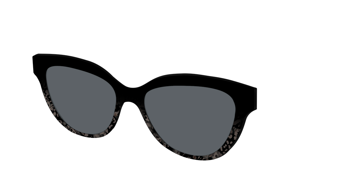 The Polarized Shaded Tortoise Sun Top - Angle Top Image - Pair Eyewear