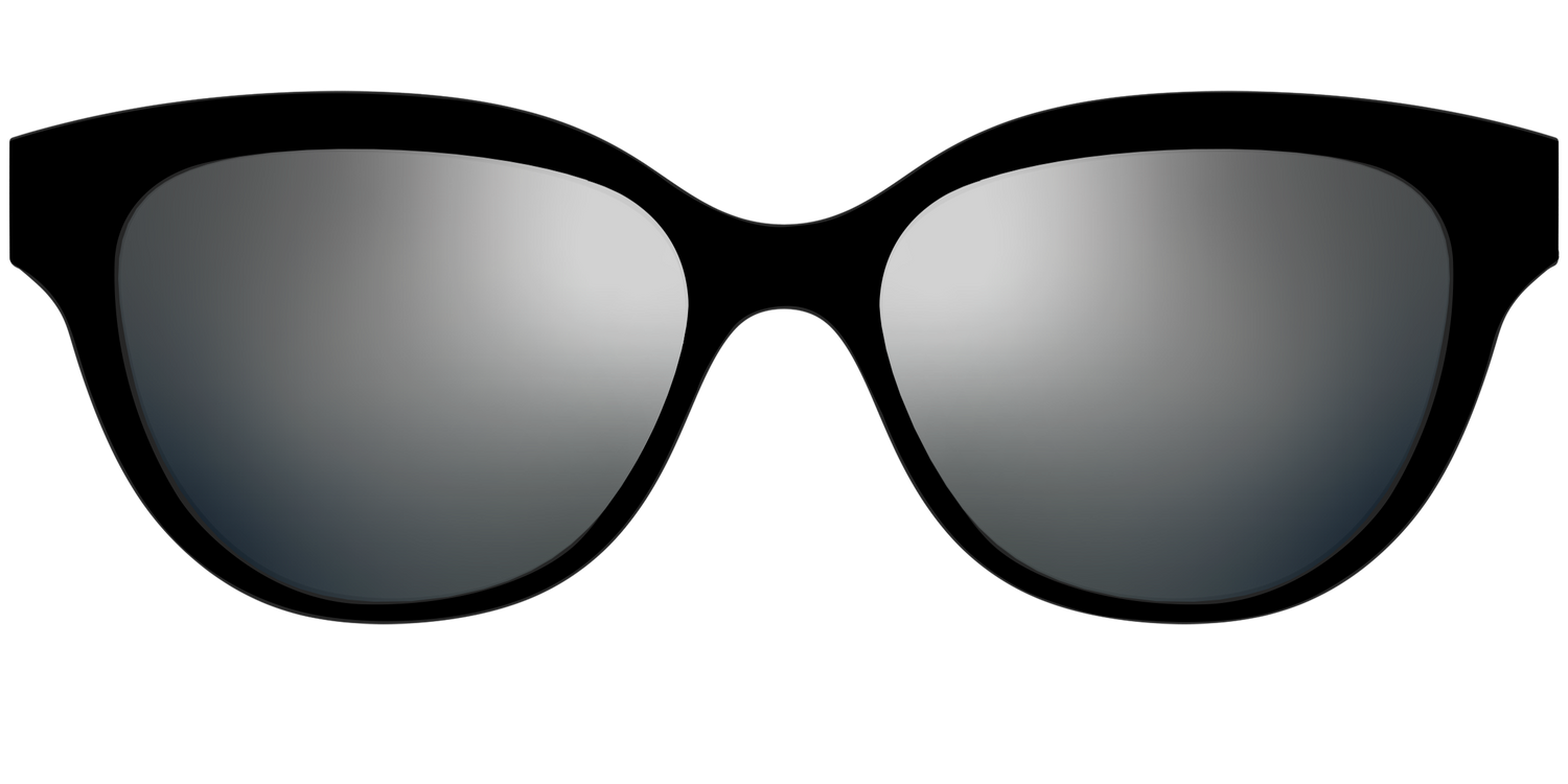 The Polarized Silver Reflective Sun Top - Front Top Image - Pair Eyewear
