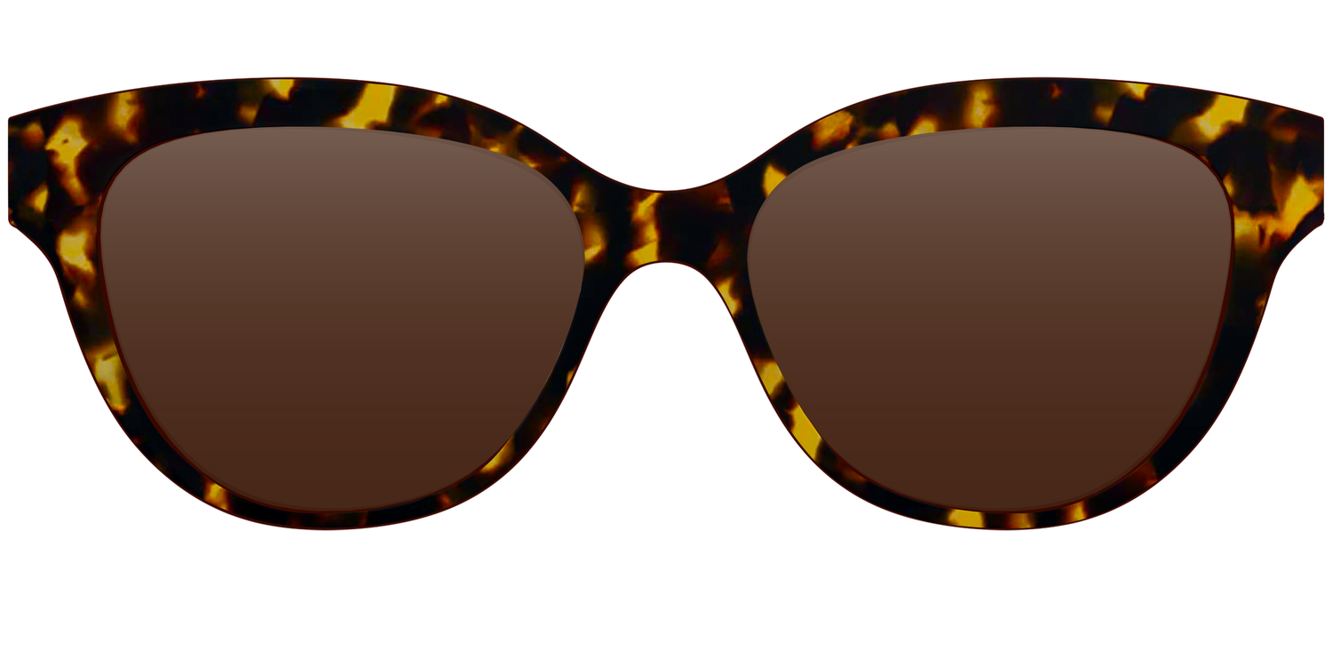 The Polarized Tortoise Sun Top - Front Top Image - Pair Eyewear