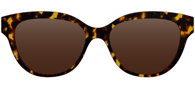 The Polarized Tortoise Sun Top - Front Top Thumbnail - Pair Eyewear