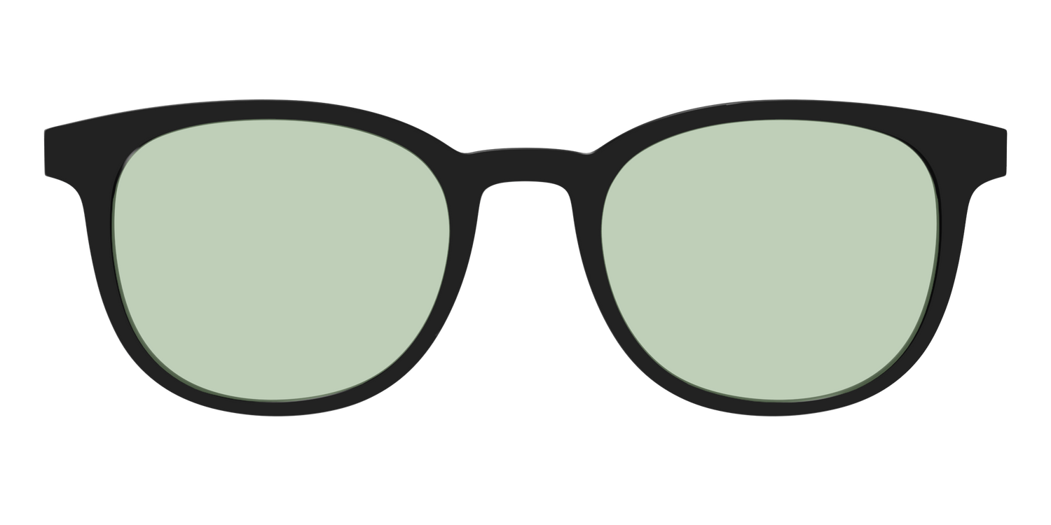 The Black With Sage Green Lens - Front Top Image - Pair Eyewear