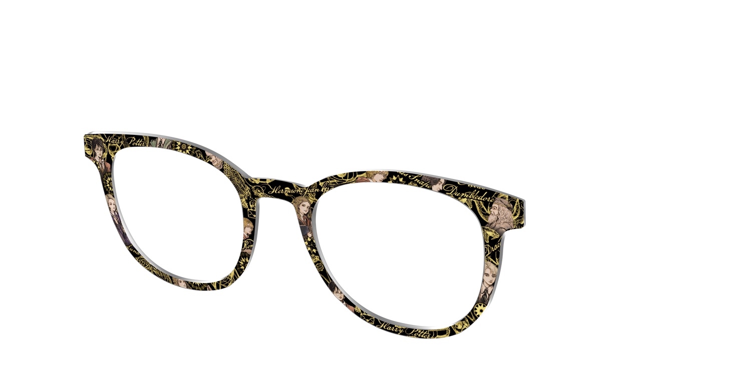 The Harry Potter Toile - Angle Top Image - Pair Eyewear