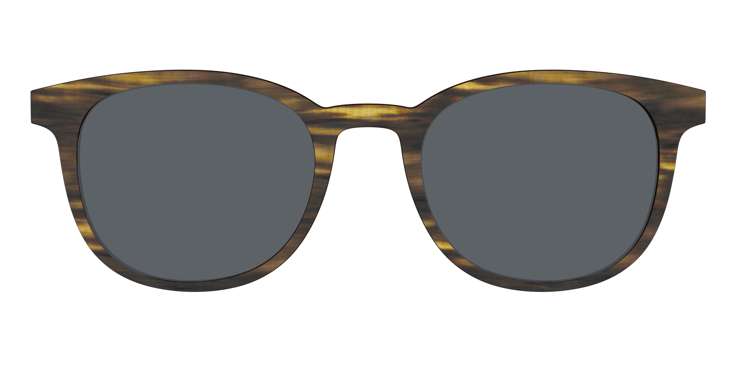 The Polarized Horn Sun Top - Front Top Image - Pair Eyewear