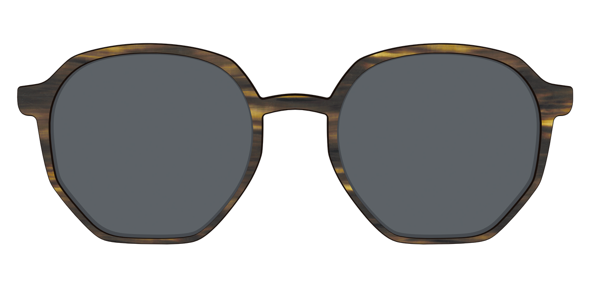 The Polarized Horn Sun Top - Front Top Image - Pair Eyewear