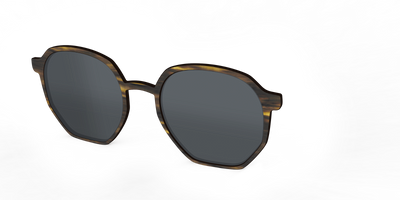 The Polarized Horn Sun Top - Angle Top Thumbnail - Pair Eyewear