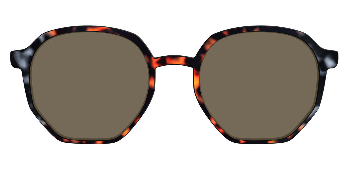 The Polarized Gray & Amber Tortoise Sun Top - Front Top Image - Pair Eyewear