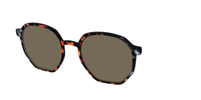 The Polarized Gray & Amber Tortoise Sun Top - Angle Top Thumbnail - Pair Eyewear