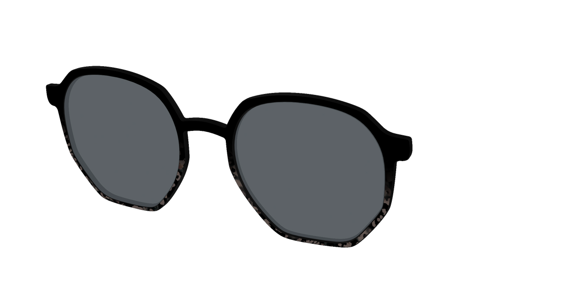 The Polarized Shaded Tortoise Sun Top - Angle Top Image - Pair Eyewear