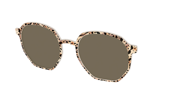 The Polarized Wild Cat Sun Top - Angle Top Thumbnail - Pair Eyewear