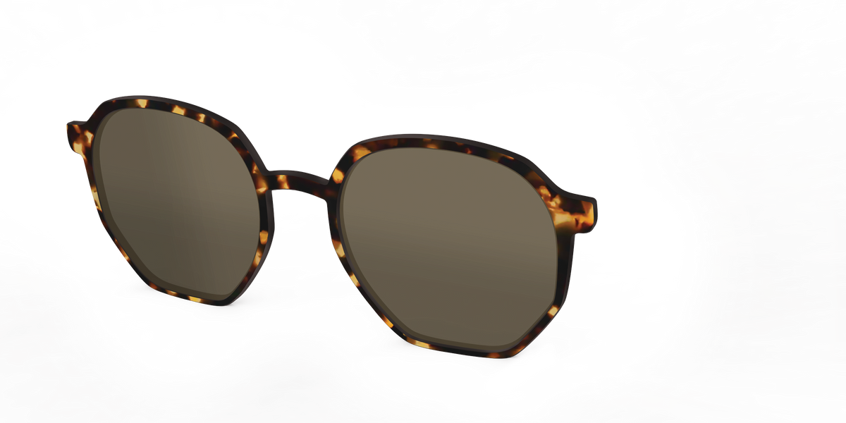 The Polarized Tortoise Sun Top - Angle Top Image - Pair Eyewear