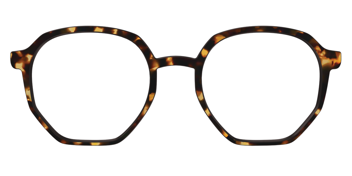 The Tortoise - Front Top Image - Pair Eyewear