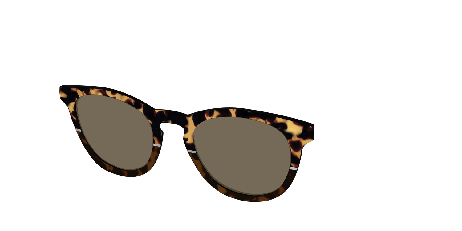 The Polarized Chic Tortoise Split Sun Top - Angle Top Image - Pair Eyewear